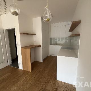 Pronájem bytu 2+kk 55 m² Praha, Pod radnicí