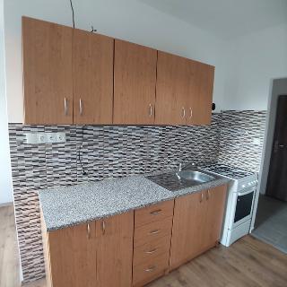 Prodej bytu 2+1 57 m² Tábor, Sokolovská