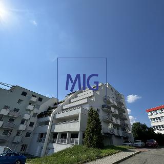 Prodej bytu 1+kk a garsoniéry 44 m² Brno, Tomečkova