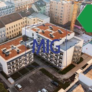 Prodej bytu 1+kk a garsoniéry 44 m² Brno, Spolková