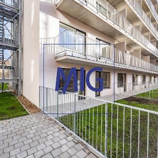 Prodej bytu 1+kk a garsoniéry 27 m² Brno, Spolková