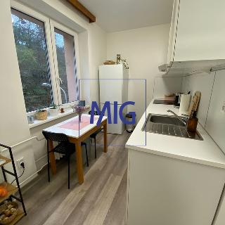 Pronájem bytu 2+1 53 m² Brno, Grohova