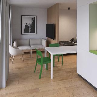 Prodej bytu 1+kk a garsoniéry 25 m² Brno, Svitavská