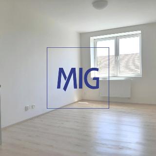 Pronájem bytu 1+kk, garsoniery 26 m² Syrovice