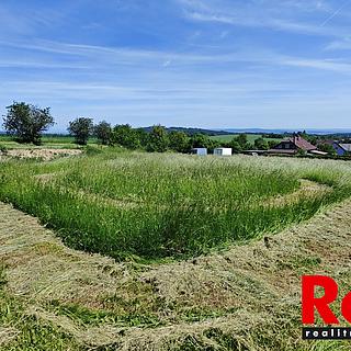 Prodej stavební parcely 3053 m&sup2; Ježkovice
