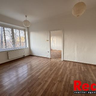 Pronájem bytu 2+1 53 m² Brno, Jilemnického