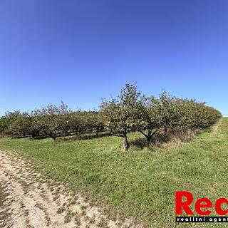 Prodej stavební parcely 3129 m&sup2; Veverské Knínice