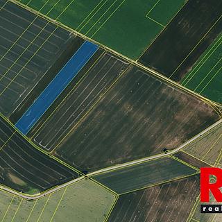 Prodej zemědělské půdy 23551 m&sup2; Blížkovice