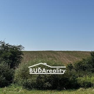 Prodej zemědělské půdy 2 399 m², 