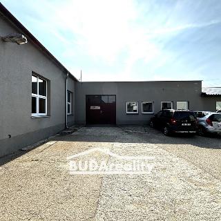 Pronájem výrobního objektu 173 m² Bílovice, 