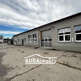 Pronájem výrobního objektu 167 m² Bílovice, 