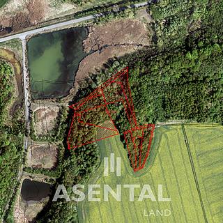 Prodej lesa 20285 m² Stonava