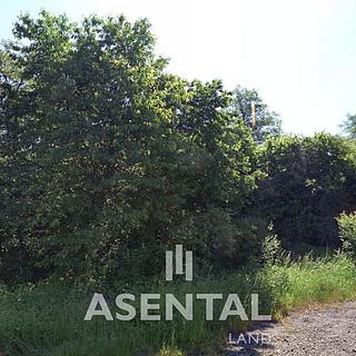 Prodej komerčního pozemku 19552 m&sup2; Karviná