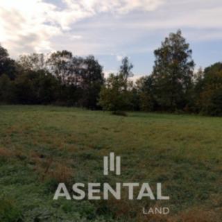 Prodej ostatních pozemků 4096 m&sup2; Orlová