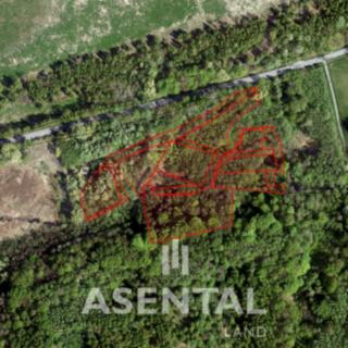 Prodej ostatních pozemků 20344 m&sup2; Stonava