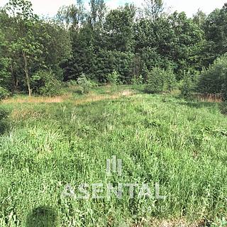 Prodej stavební parcely 2800 m&sup2; Ostrava