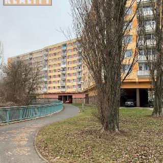 Pronájem bytu 1+1 35 m² Chomutov, Bezručova