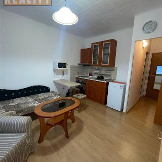 Pronájem bytu 1+kk a garsoniéry 19 m² Ústí nad Labem, Ladova