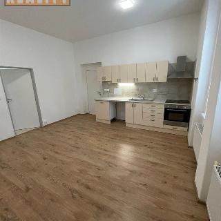 Pronájem bytu 2+1 67 m² Ústí nad Labem, Varšavská