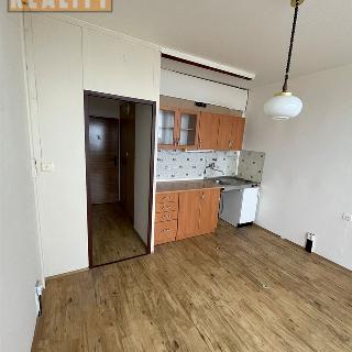 Prodej bytu 1+kk a garsoniéry 20 m² Ústí nad Labem, Malátova