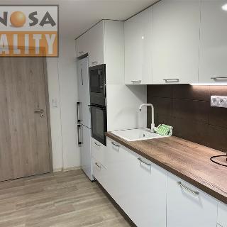 Pronájem bytu 2+kk 45 m² Žatec, Nerudovo náměstí