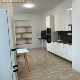 Pronájem bytu 1+kk a garsoniéry 33 m² Žatec, Nerudovo náměstí