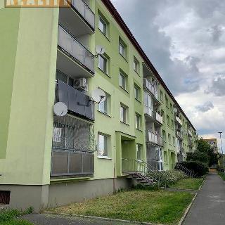 Pronájem bytu 4+1 77 m² Chomutov, Zengerova