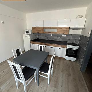 Pronájem bytu 1+1 56 m&sup2; Ústí nad Labem