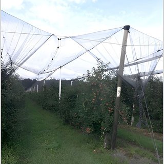 Prodej zemědělské půdy 710 000 m² Dvůr Králové nad Labem, 