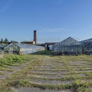 Prodej zemědělského objektu 3 135 m² Holice Staré, Staroholická