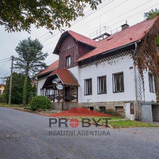 Prodej hotelu a penzionu 1 064 m² Rádlo, 