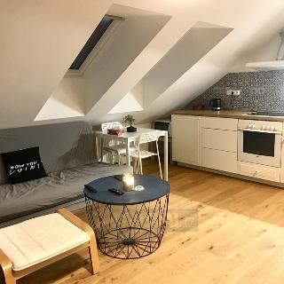 Pronájem bytu 1+kk a garsoniéry 40 m² České Budějovice, Heydukova