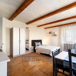 Pronájem bytu 1+kk a garsoniéry 26 m² Chvalšiny, 