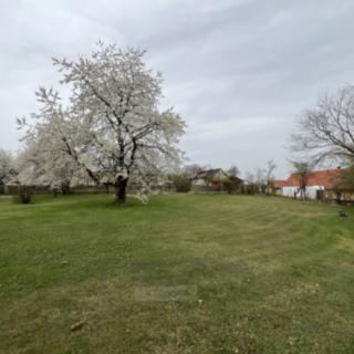 Prodej stavební parcely 650 m² Albrechtice nad Vltavou