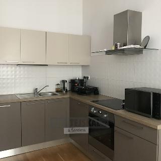 Pronájem bytu 3+kk 76 m² České Budějovice, Lipenská