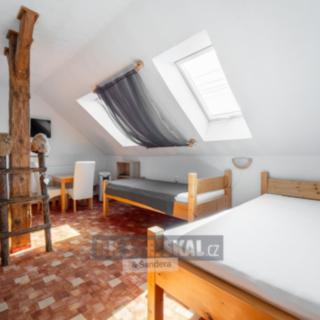 Prodej hotelu a penzionu 2 308 m² Žabovřesky