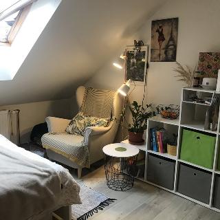 Pronájem bytu 1+kk a garsoniéry 22 m² České Budějovice, Mánesova