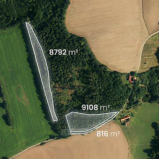 Prodej lesa 18716 m² Hluboká nad Vltavou
