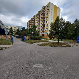 Pronájem bytu 1+1 42 m² České Budějovice, K. Šafáře