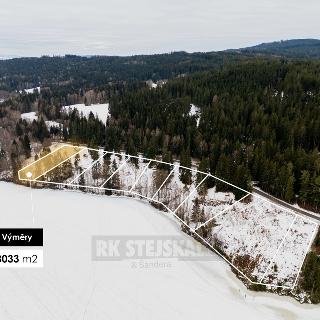 Prodej stavební parcely 3 033 m² Přední Výtoň, Frýdava