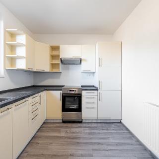 Pronájem bytu 3+1 80 m² Včelná, Sokolovského