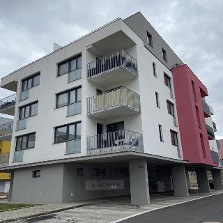 Pronájem bytu 2+kk 43 m² Dašice