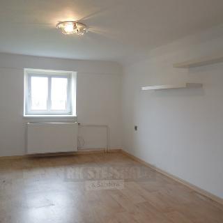 Pronájem bytu 2+1 74 m² Srnín