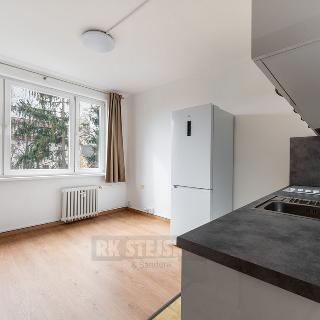 Prodej bytu 1+kk a garsoniéry 20 m² České Budějovice, Pekárenská