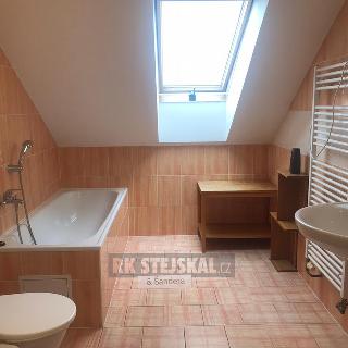 Pronájem bytu 2+kk 64 m² České Budějovice, Lipenská