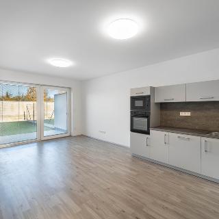 Pronájem bytu 4+kk 80 m² České Budějovice, Potoční