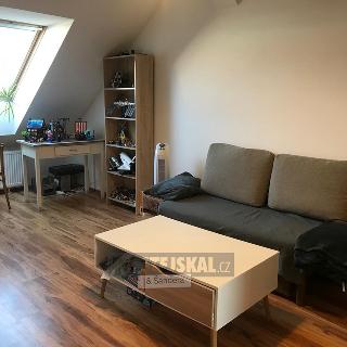 Pronájem bytu 2+1 63 m² České Budějovice