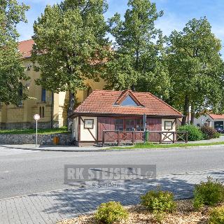 Prodej obchodu 28 m² Křemže, 