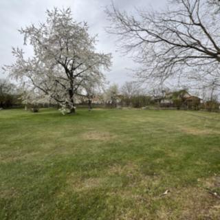 Prodej stavební parcely 650 m² Albrechtice nad Vltavou