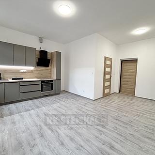 Pronájem bytu 2+kk 52 m&sup2; České Budějovice